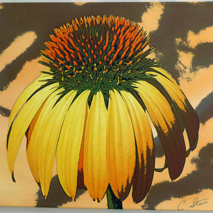 Flora and Fauna Photographic Art Gallery Wrapped Canvas Prints