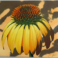 Flora and Fauna Photographic Art Gallery Wrapped Canvas Prints