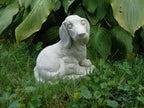 Dachshund Dog Concrete 5-1/2 x 7-1/2 x 7-1/4" High