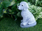 Cockapoo Dog 5 x 5 x 8.25" high Concrete Statue