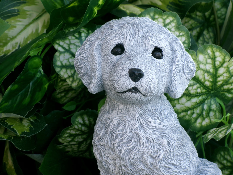 Cockapoo Dog 5 x 5 x 8.25" high Concrete Statue
