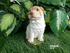 Shar-Pei Dog Concrete Statue 4.75 x 7 x 8" High