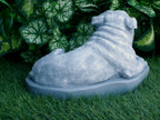 Bulldog Statue 5 x 10 x 6" high Concrete Statue