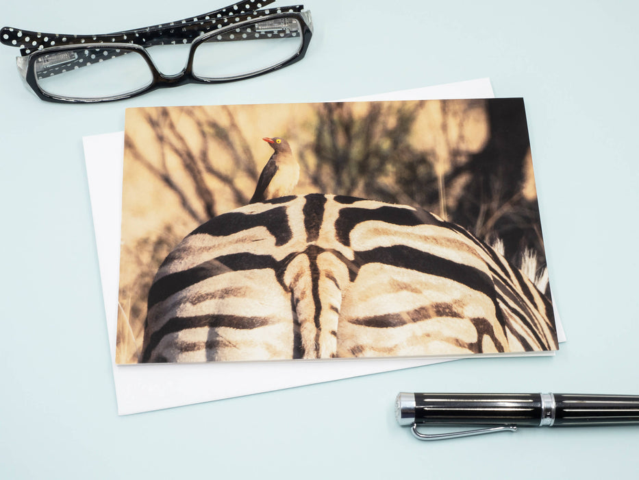 Zebra and Oxpecker Photography Greeting Card