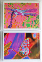Blank Pop Art Note Card Set for the Gardener, Nature Lover or Art Lover