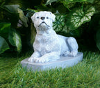 Rottweiler Concrete Statuette 3x7.25x4.75" high