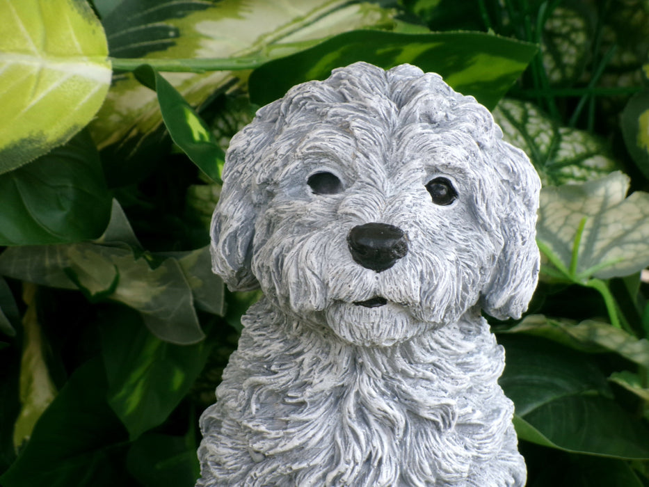 Cockapoo Concrete Statue 4.5x6.8.25" High