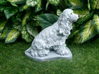 Springer Spaniel Concrete Statue 3.25 x 6.5x 7.5" high