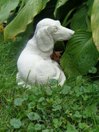 Dachshund Dog Concrete 5-1/2 x 7-1/2 x 7-1/4" High