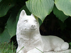 Concrete Husky Statue 11 x 5 x 7" High