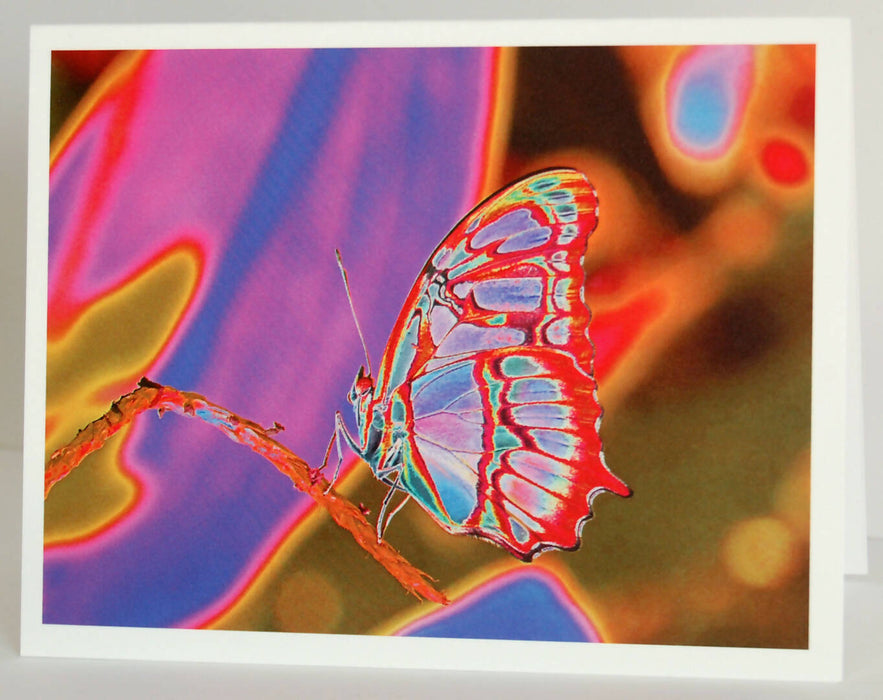Blank Pop Art Note Card Set for the Gardener, Nature Lover or Art Lover