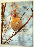 16x20 Canvas Photographic Art Bird or Dragonfly Wall Decor