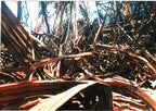 Original Abstract Photo 8x10 matted to 11x14