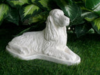 Springer Spaniel Concrete Statue 5.5x10.5x7" High