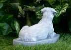 Rottweiler Concrete Statuette 3x7.25x4.75" high