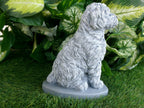 Cockapoo Concrete Statue 4.5x6.8.25" High