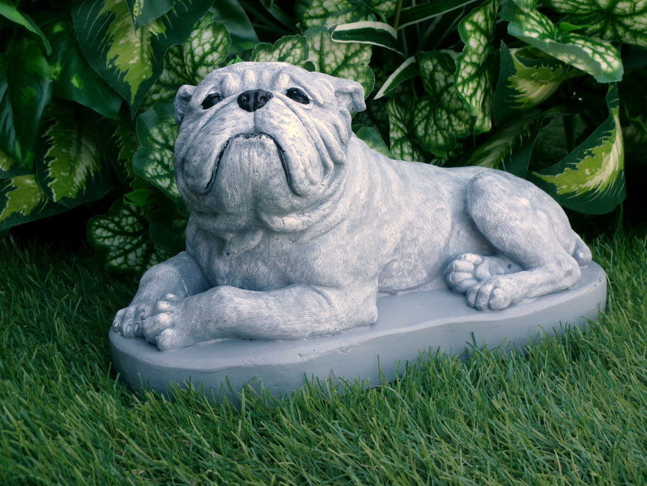 Bulldog Statue 5 x 10 x 6" high Concrete Statue