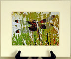 Dragonfly Photographic Art Prints