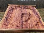 Mars Gale Crater Carving in Cedar