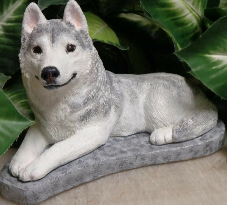 Concrete Husky Statue 11 x 5 x 7" High