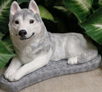 Concrete Husky Statue 11 x 5 x 7" High