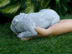 Concrete Bulldog Urn Adornment 3x6x2.25" high