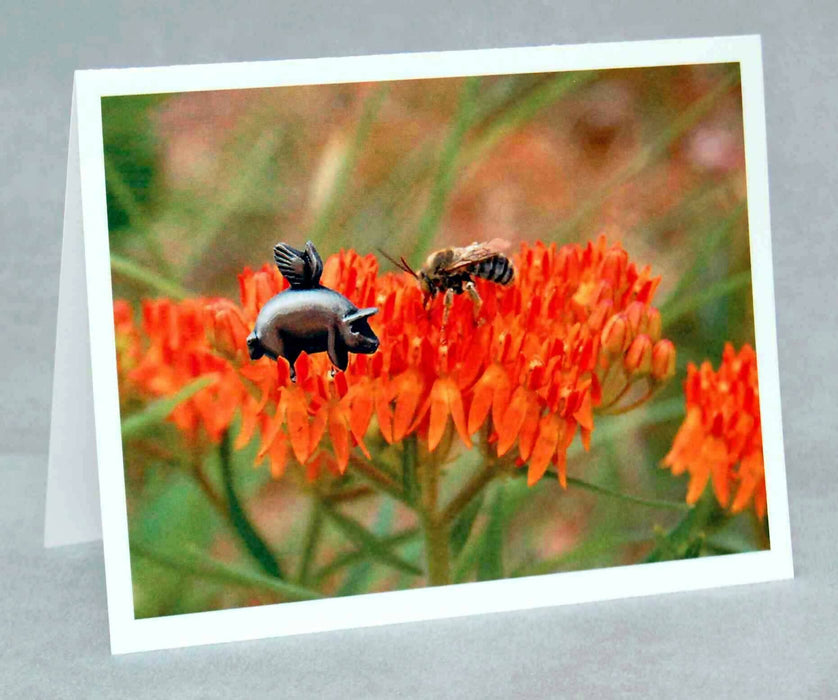 Flying Pig Note Cards - Piggy Pollinator Series