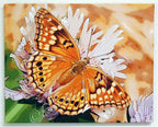 Flora and Fauna Photographic Art Gallery Wrapped Canvas Prints