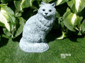 Concrete Persian Cat Statue 12" High