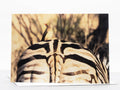 Zebra and Oxpecker Photography Greeting Card