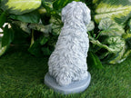 Cockapoo Concrete Statue 4.5x6.8.25" High