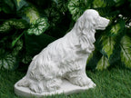 Springer Spaniel Concrete Statue 3.25 x 6.5x 7.5" high
