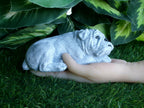 Concrete Bulldog Urn Adornment 3x6x2.25" high