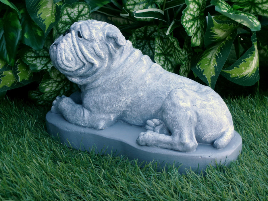 Bulldog Statue 5 x 10 x 6" high Concrete Statue